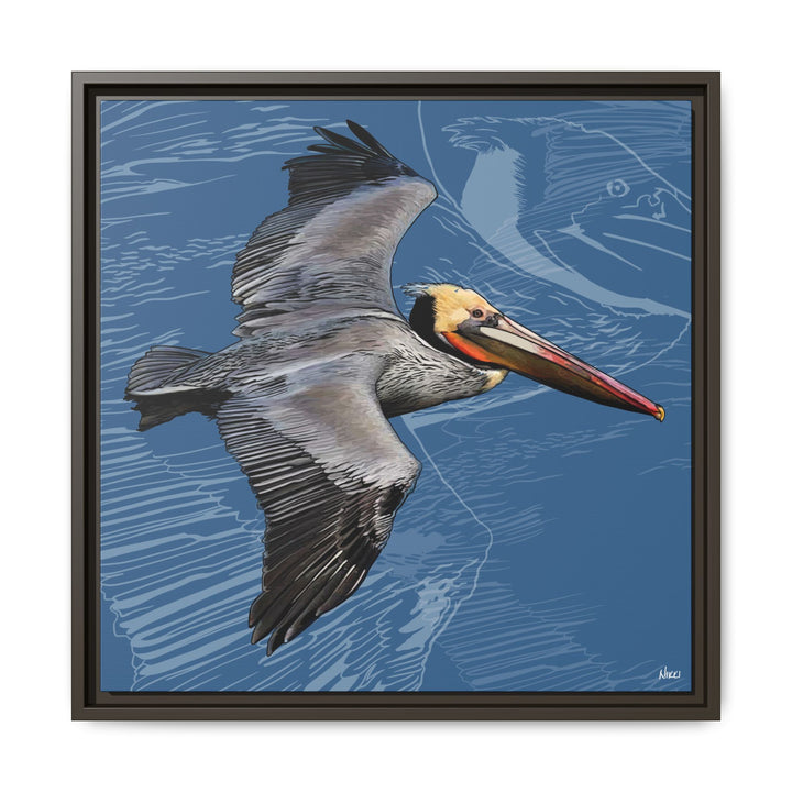 Brown Pelican: Louisiana State Bird  —  Framed Canvas Print
