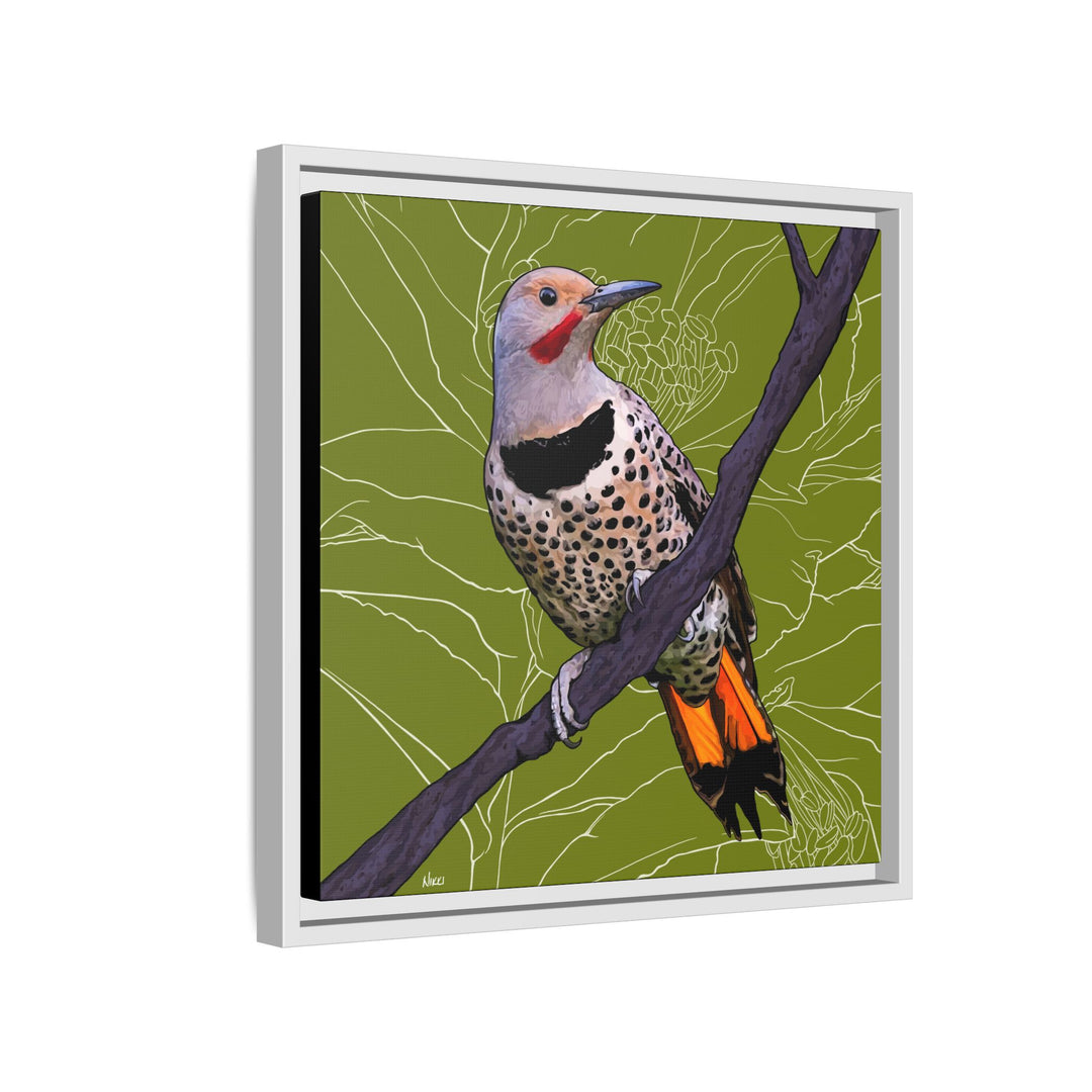 Northern Flicker (Yellowhammer): Alabama State Bird: — Framed Canvas Print Wall Art