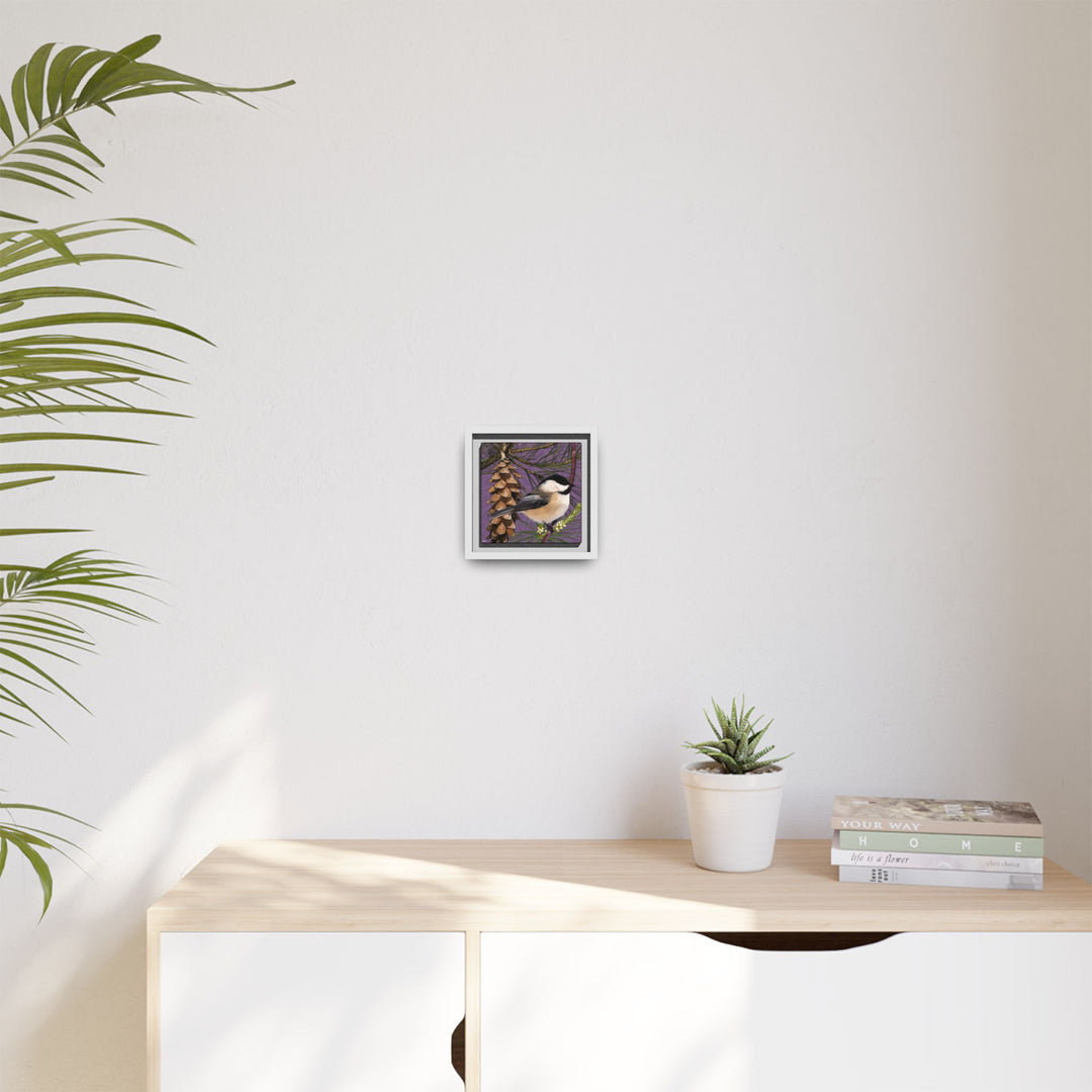 Black-capped Chickadee: Maine State Bird — Framed Canvas Print