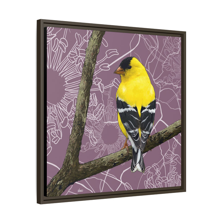 Goldfinch: Washington State Bird — Framed Canvas Print Wall Art