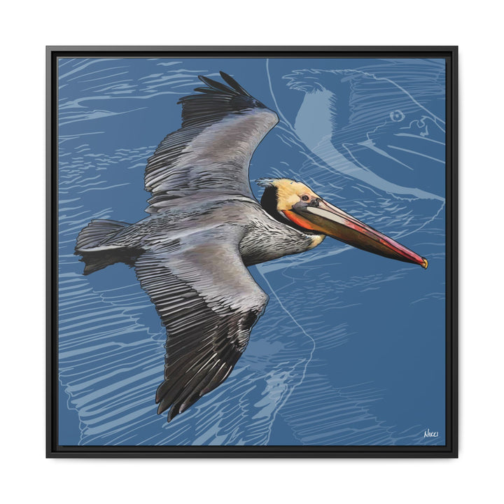 Brown Pelican: Louisiana State Bird  —  Framed Canvas Print