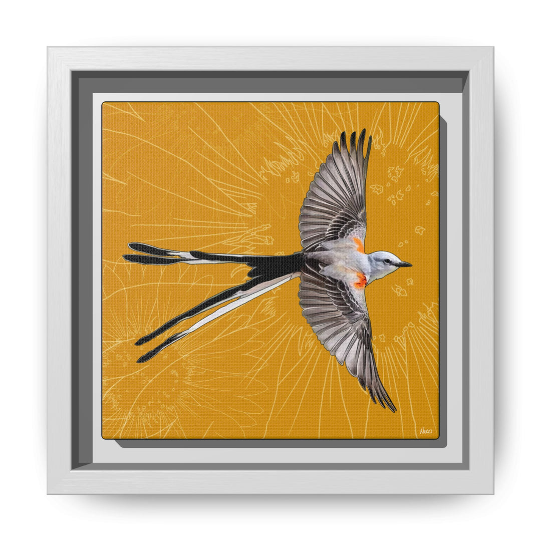 Scissor Tailed Flycatcher: Oklahoma State Bird — Framed Canvas Print Wall Art