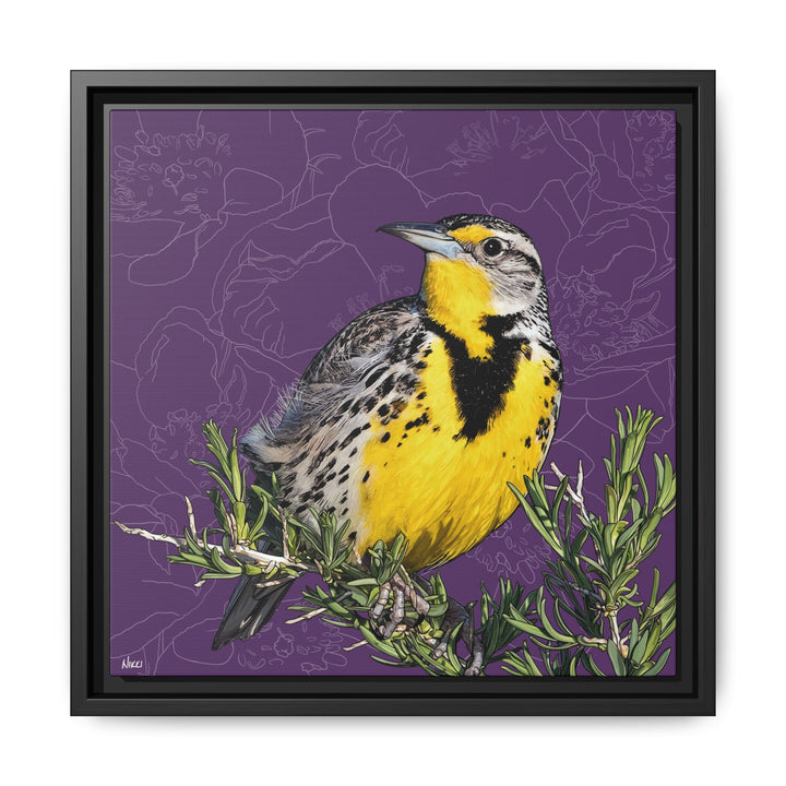 Western Meadowlark: North Dakota State Bird — Framed Canvas Print