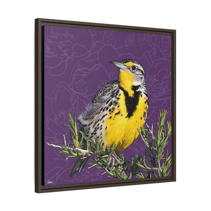 Western Meadowlark: North Dakota State Bird — Framed Canvas Print