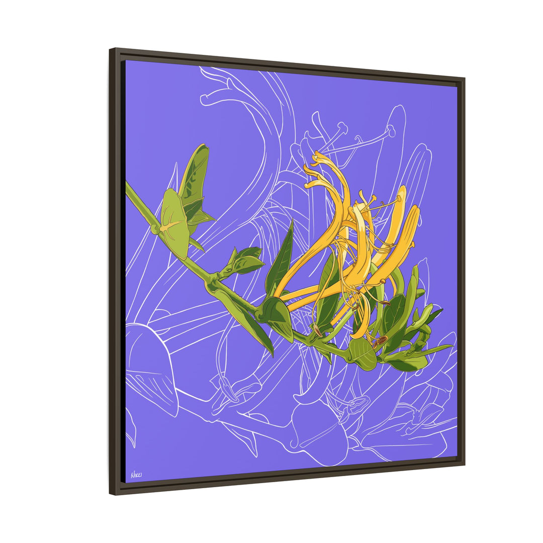Honeysuckle: June Birth Month Flower — Framed Canvas Print Wall Art