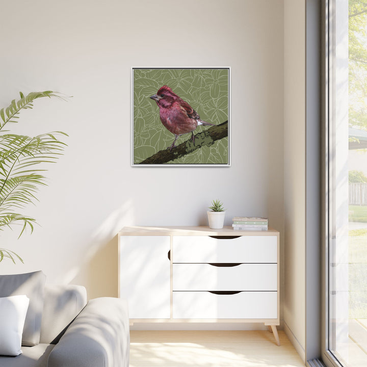 Purple Finch: New Hampshire State Bird — Framed Canvas Print Wall Art