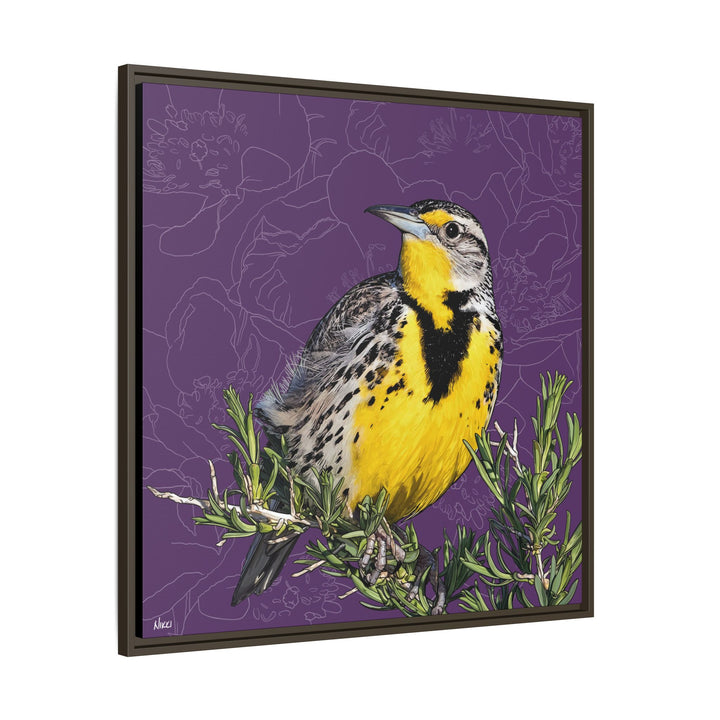 Western Meadowlark: North Dakota State Bird — Framed Canvas Print