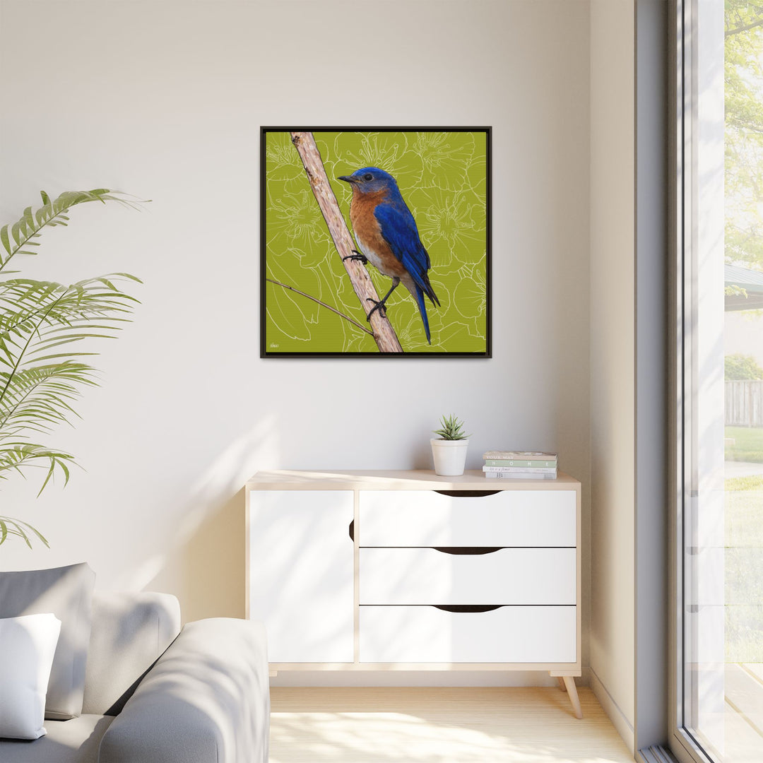 Eastern Bluebird: Missouri State Bird — Framed Canvas Print
