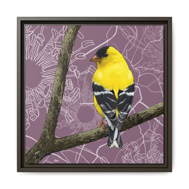 Goldfinch: Washington State Bird — Framed Canvas Print Wall Art