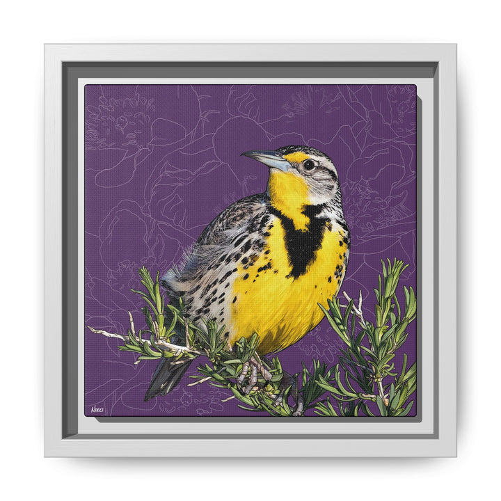 Western Meadowlark: North Dakota State Bird — Framed Canvas Print