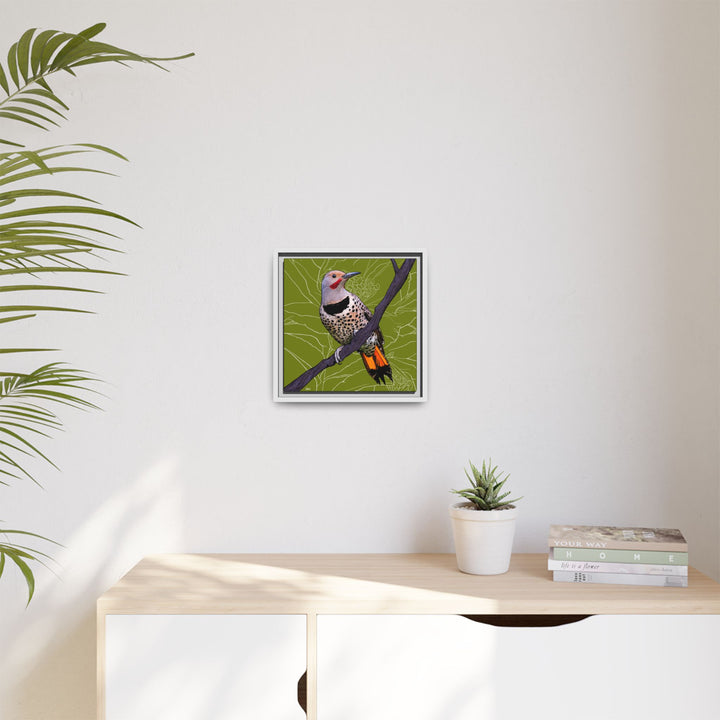 Northern Flicker (Yellowhammer): Alabama State Bird: — Framed Canvas Print Wall Art