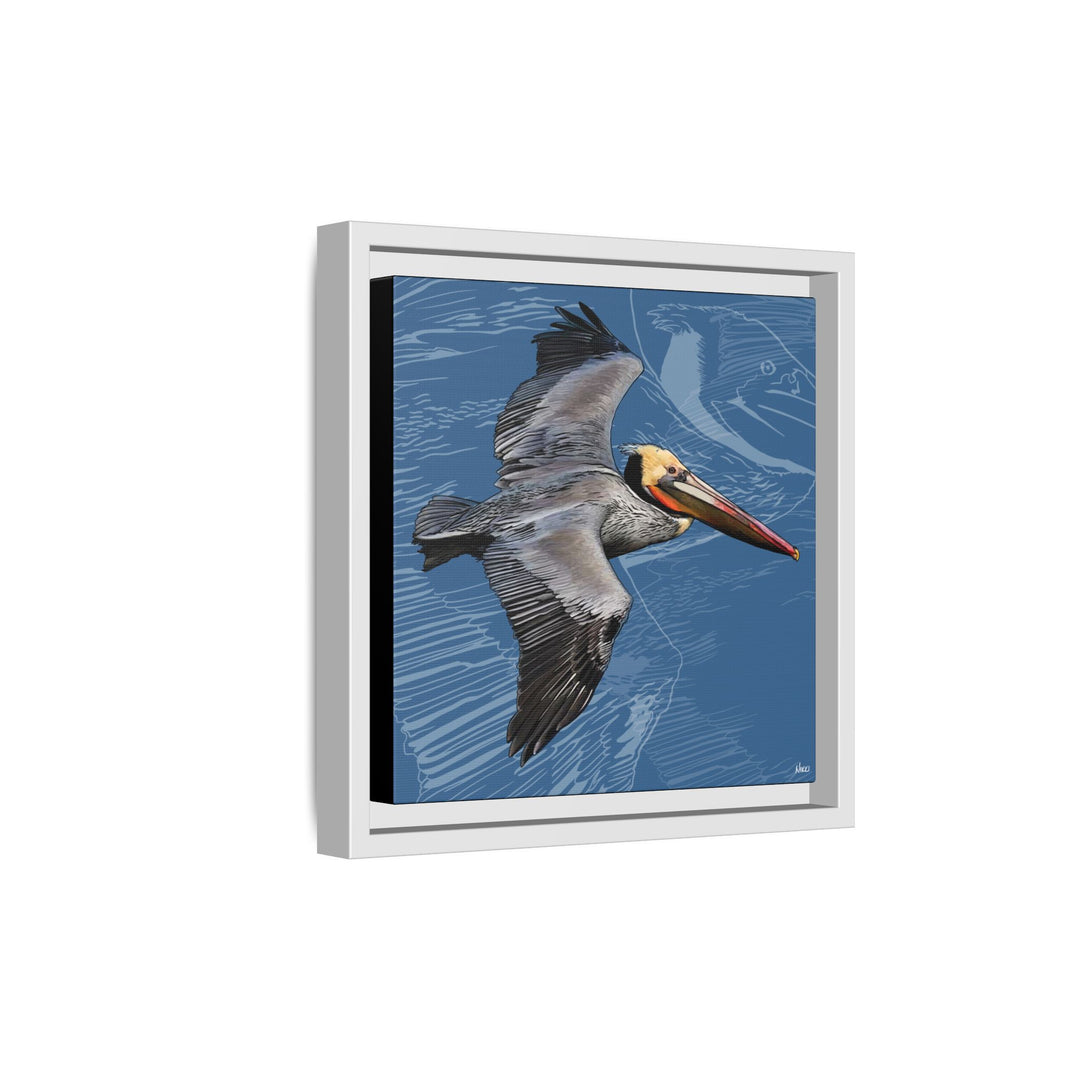 Brown Pelican: Louisiana State Bird  —  Framed Canvas Print
