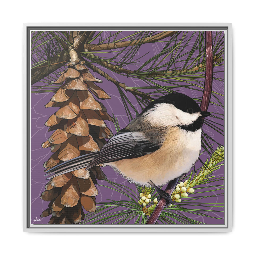 Black-capped Chickadee: Maine State Bird — Framed Canvas Print