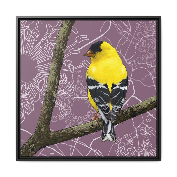 Goldfinch: Washington State Bird — Framed Canvas Print Wall Art