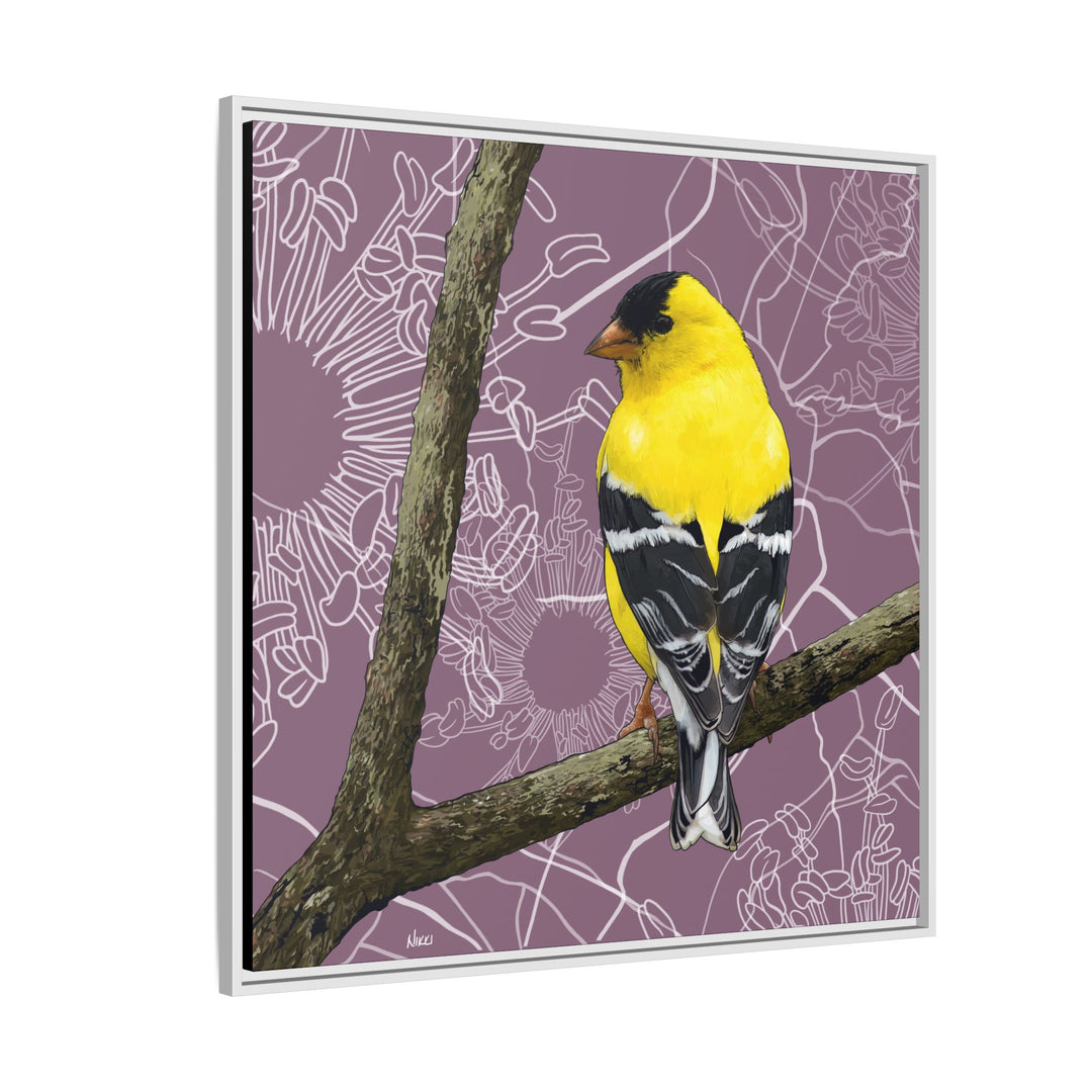 Goldfinch: Washington State Bird — Framed Canvas Print Wall Art