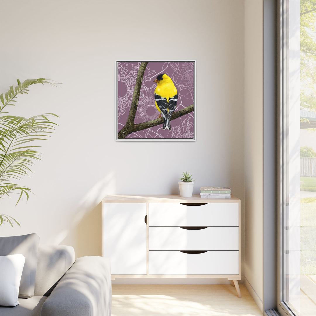 Goldfinch: Washington State Bird — Framed Canvas Print Wall Art
