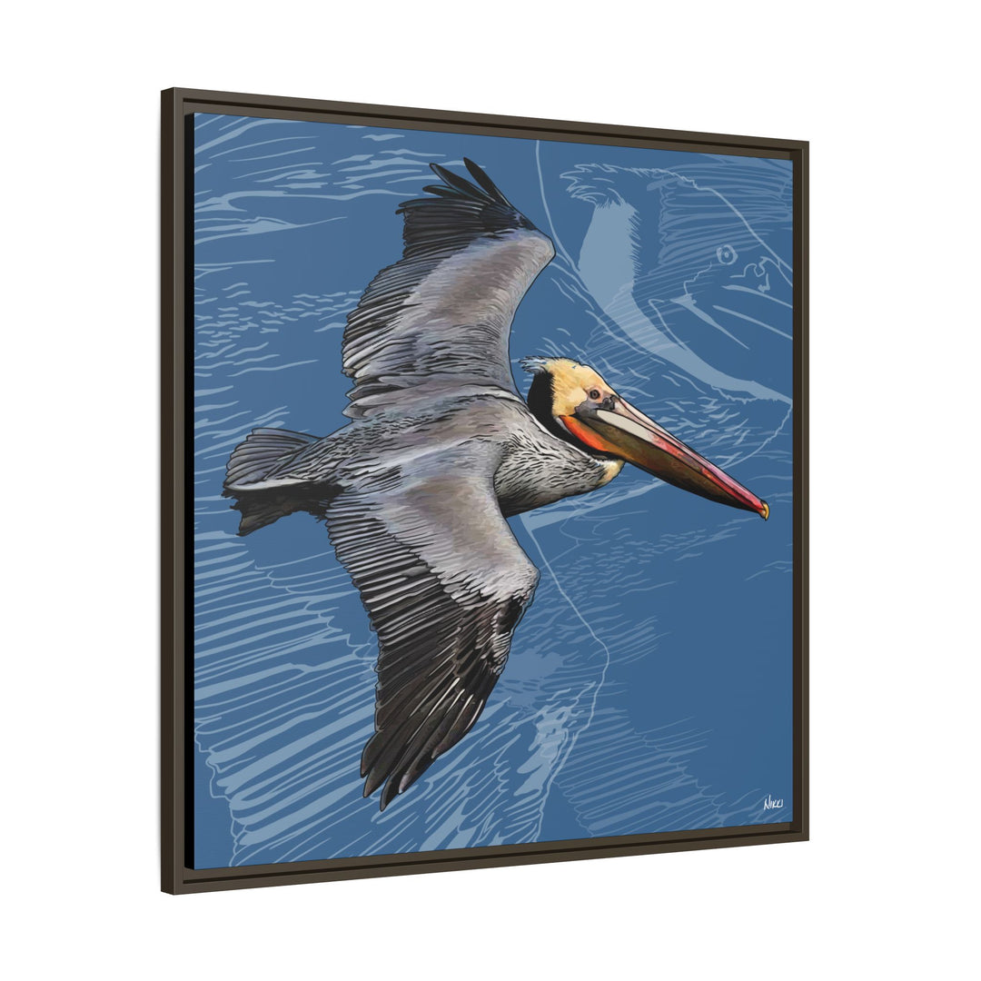 Brown Pelican: Louisiana State Bird  —  Framed Canvas Print