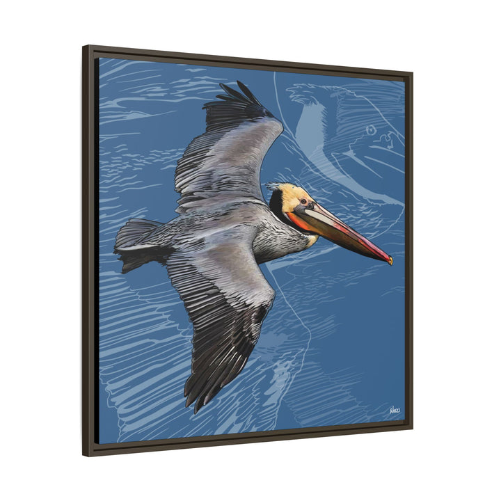 Brown Pelican: Louisiana State Bird  —  Framed Canvas Print