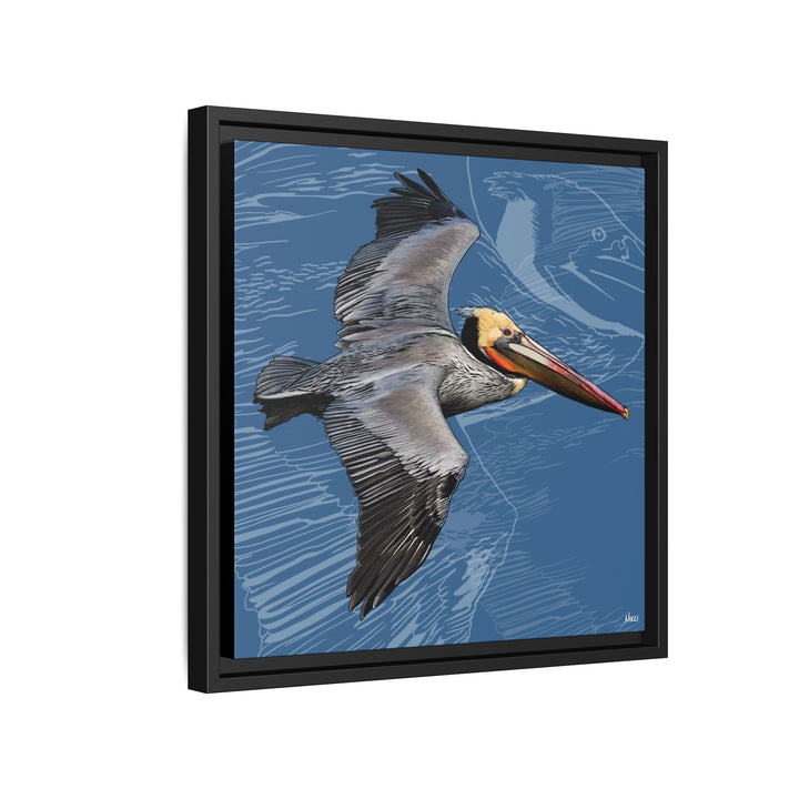 Brown Pelican: Louisiana State Bird  —  Framed Canvas Print