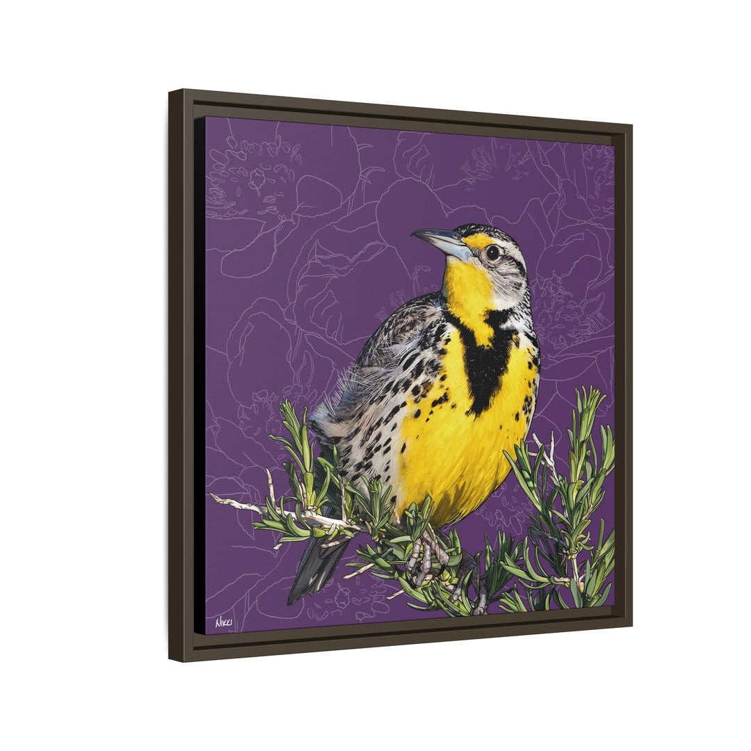 Western Meadowlark: North Dakota State Bird — Framed Canvas Print