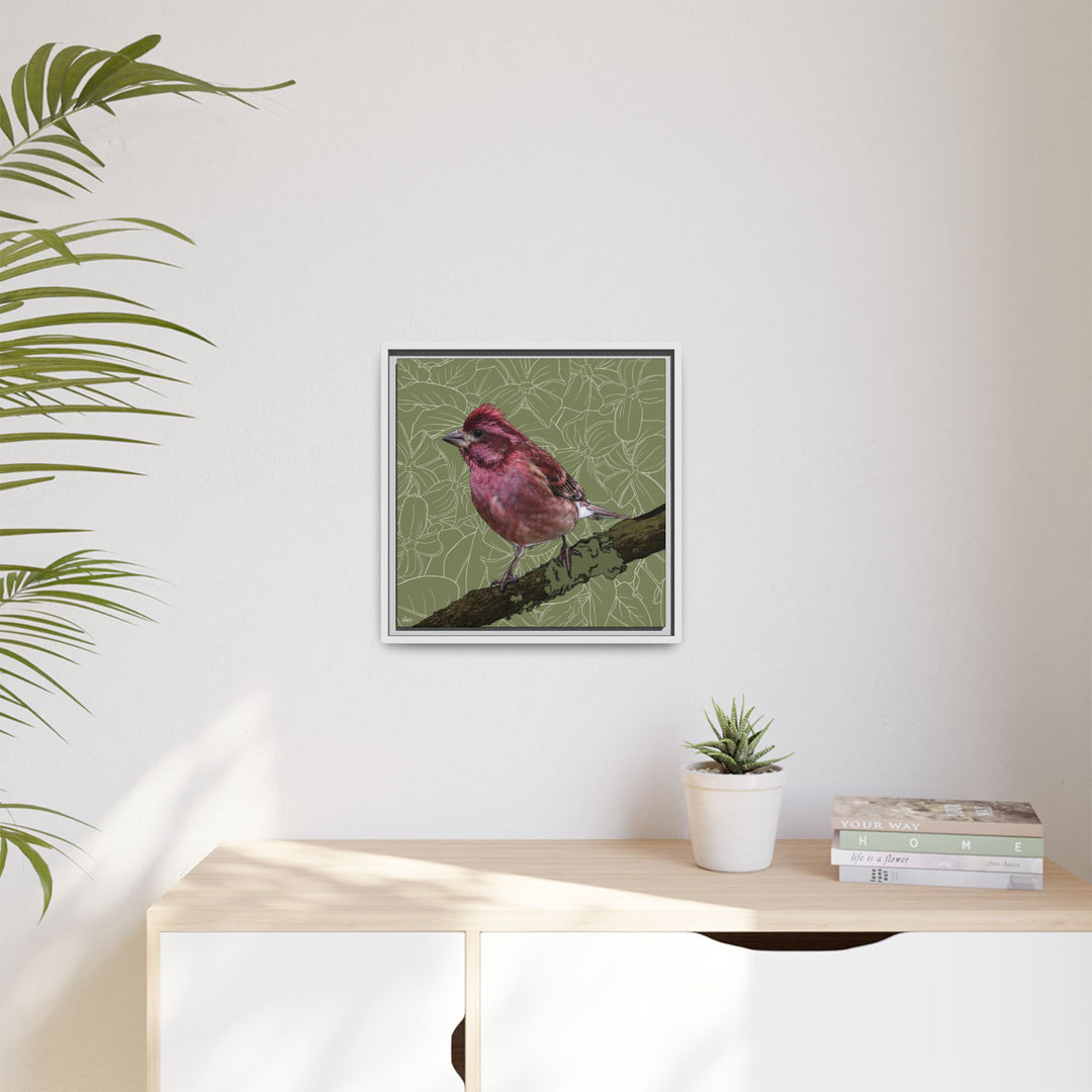 Purple Finch: New Hampshire State Bird — Framed Canvas Print Wall Art