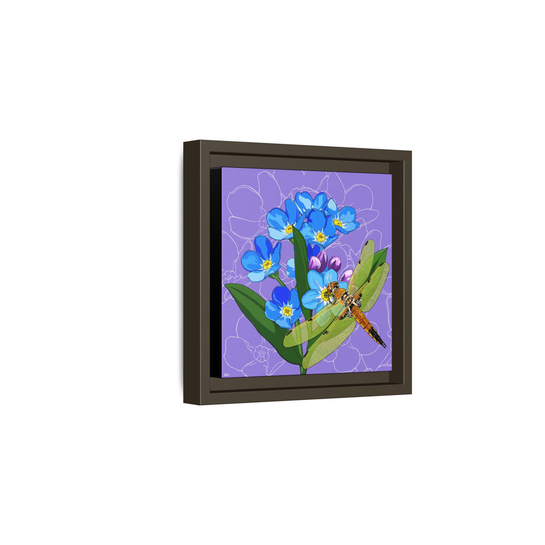 Alaska State Flower + Insect: Forget Me Not + Four-spot Skimmer Dragonfly — Framed Canvas Print Wall Art