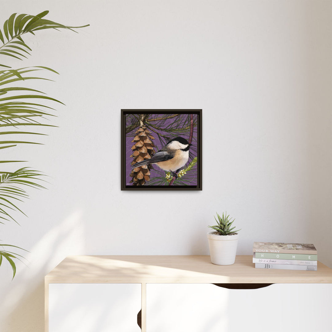 Black-capped Chickadee: Maine State Bird — Framed Canvas Print