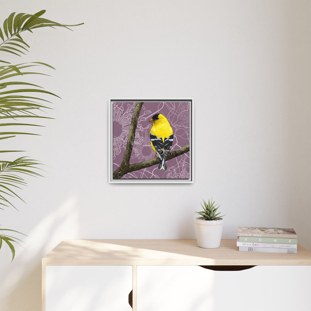 Goldfinch: Washington State Bird — Framed Canvas Print Wall Art