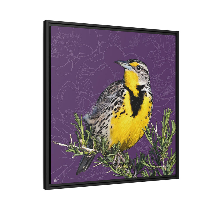 Western Meadowlark: North Dakota State Bird — Framed Canvas Print