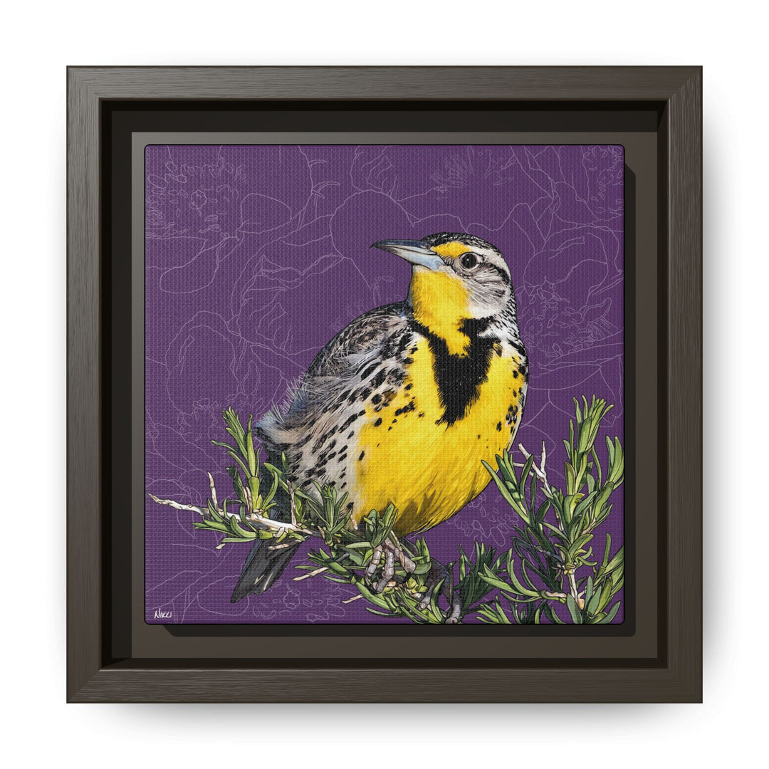 Western Meadowlark: North Dakota State Bird — Framed Canvas Print