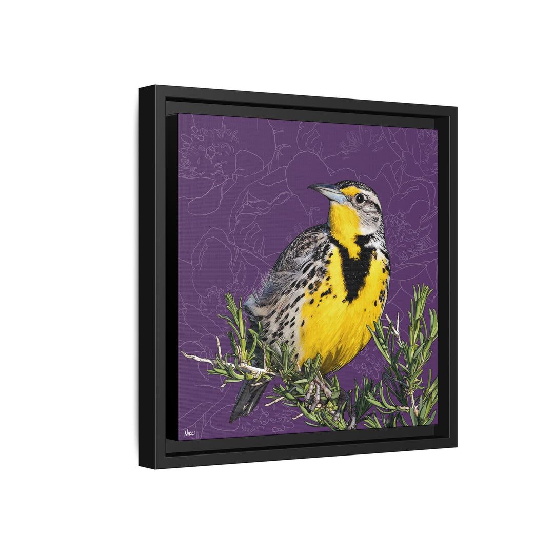 Western Meadowlark: North Dakota State Bird — Framed Canvas Print
