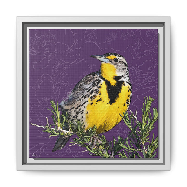 Western Meadowlark: North Dakota State Bird — Framed Canvas Print