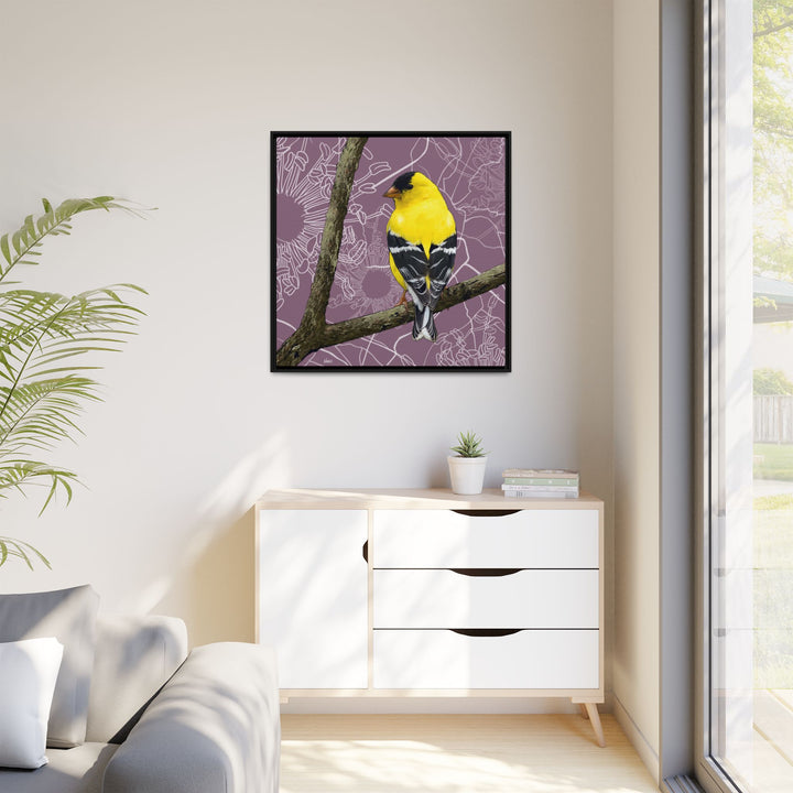 Goldfinch: Washington State Bird — Framed Canvas Print Wall Art