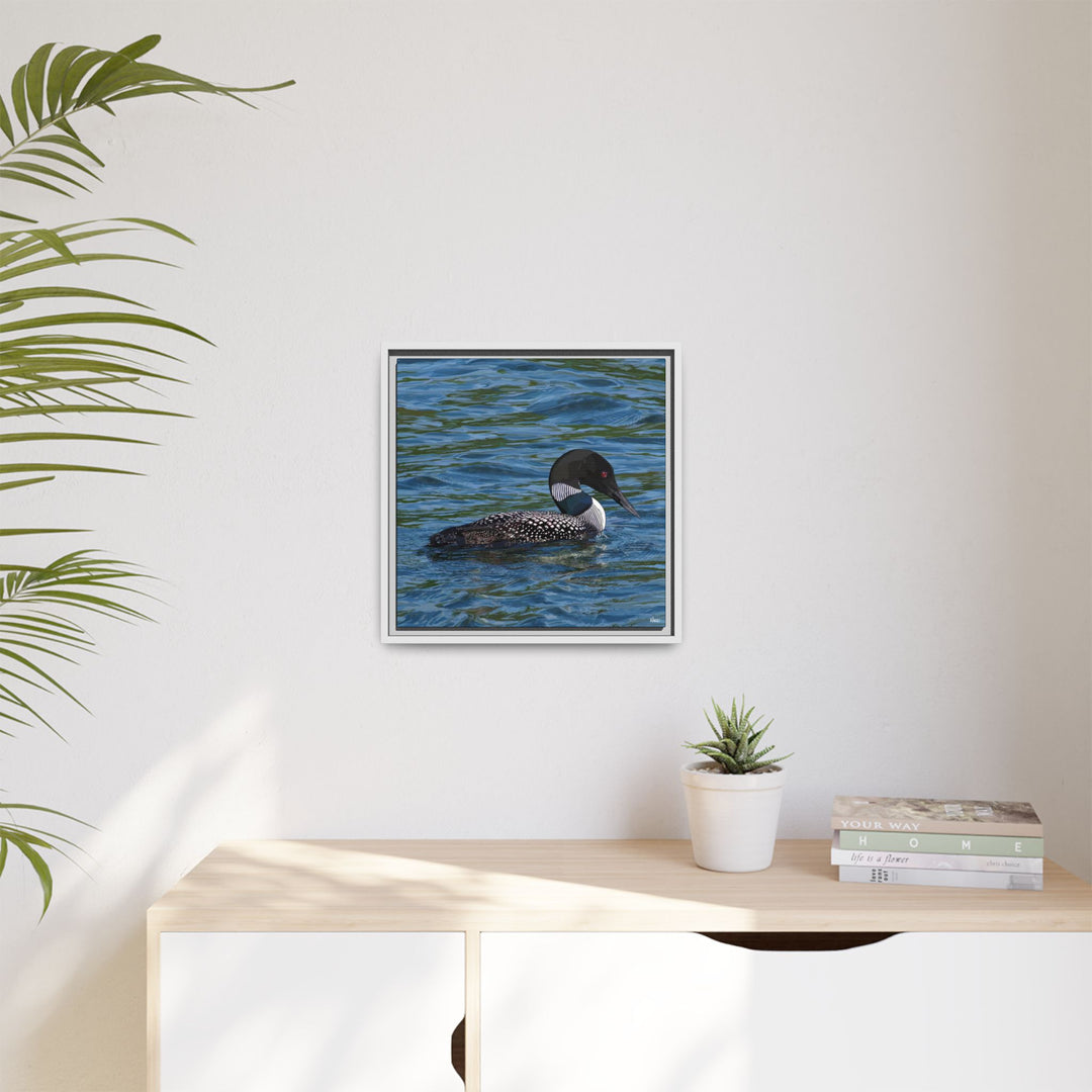 Common Loon: Minnesota State Bird — Framed Canvas Print Wall Art