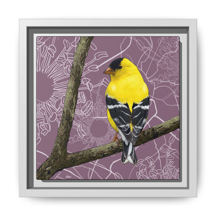 Goldfinch: Washington State Bird — Framed Canvas Print Wall Art