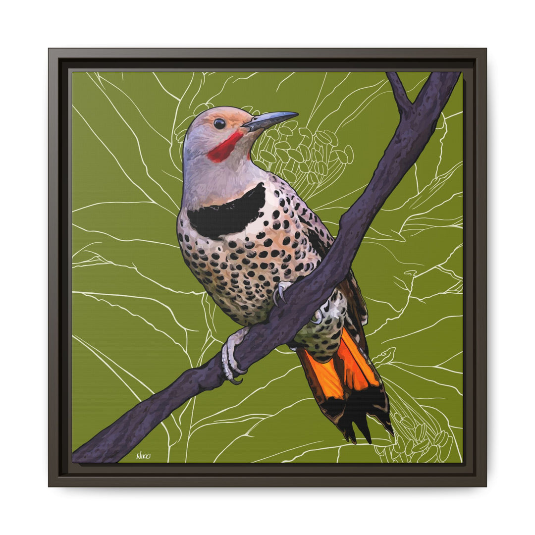 Northern Flicker (Yellowhammer): Alabama State Bird: — Framed Canvas Print Wall Art