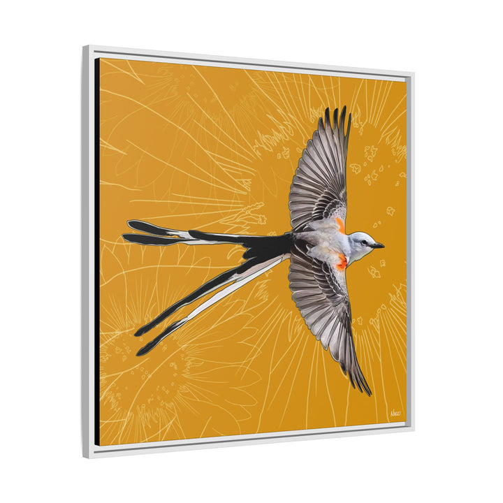 Scissor Tailed Flycatcher: Oklahoma State Bird — Framed Canvas Print Wall Art