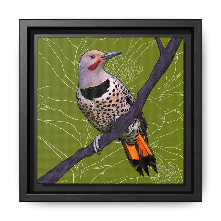 Northern Flicker (Yellowhammer): Alabama State Bird: — Framed Canvas Print Wall Art