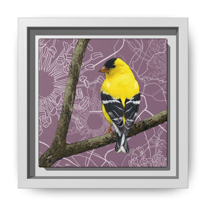 Goldfinch: Washington State Bird — Framed Canvas Print Wall Art