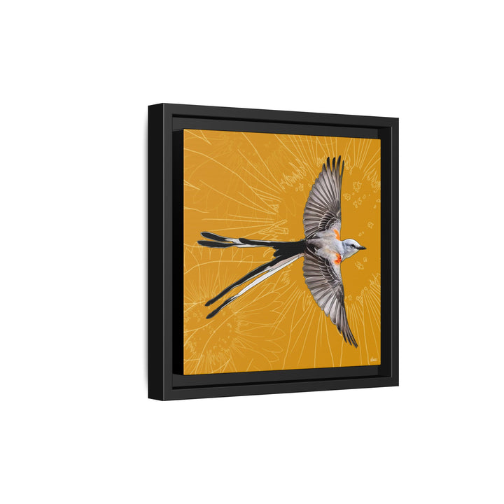 Scissor Tailed Flycatcher: Oklahoma State Bird — Framed Canvas Print Wall Art