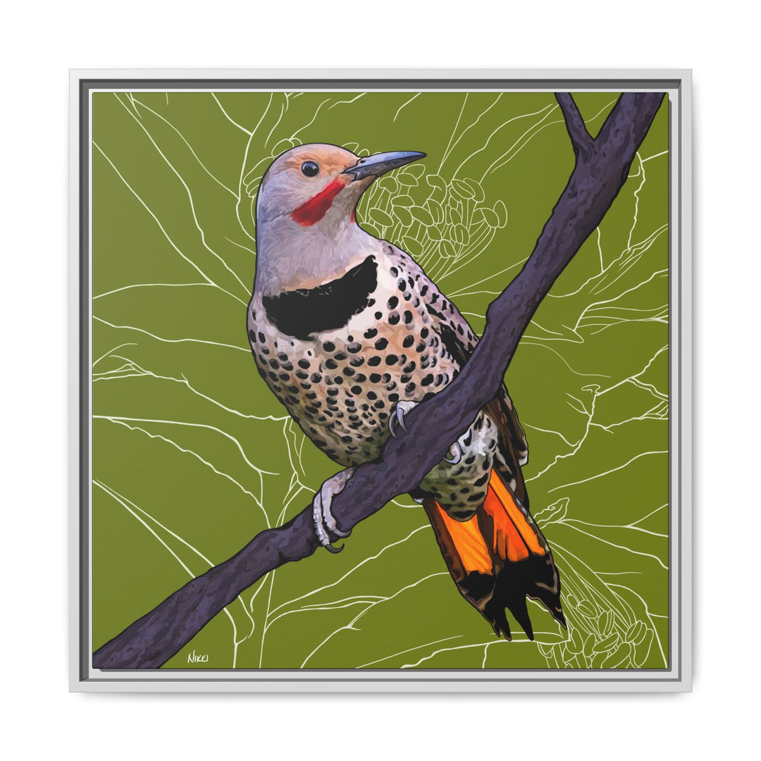Northern Flicker (Yellowhammer): Alabama State Bird: — Framed Canvas Print Wall Art