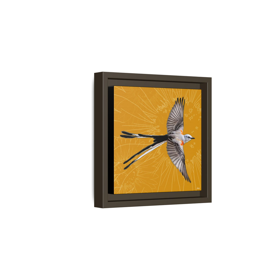 Scissor Tailed Flycatcher: Oklahoma State Bird — Framed Canvas Print Wall Art