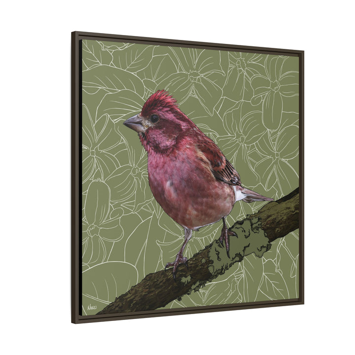 Purple Finch: New Hampshire State Bird — Framed Canvas Print Wall Art