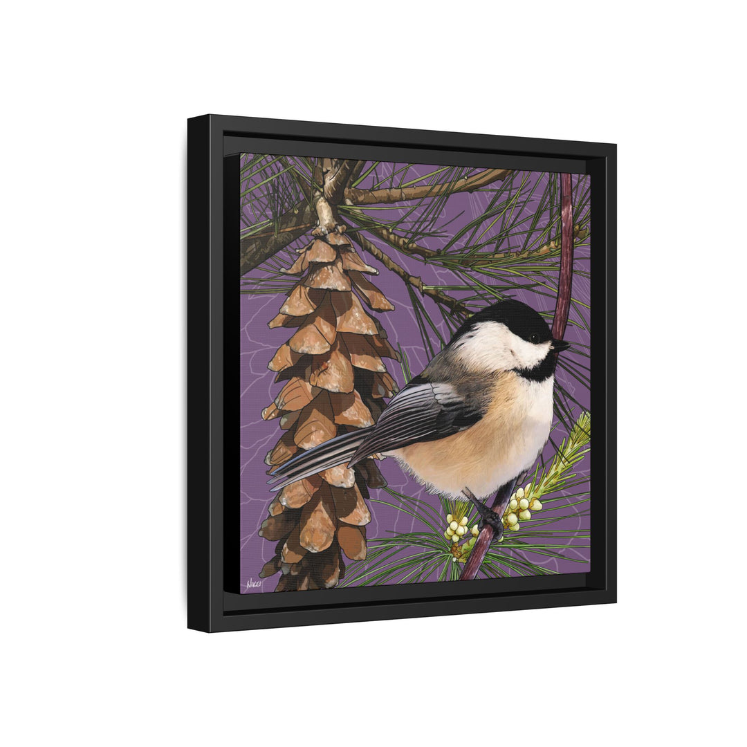 Black-capped Chickadee: Maine State Bird — Framed Canvas Print
