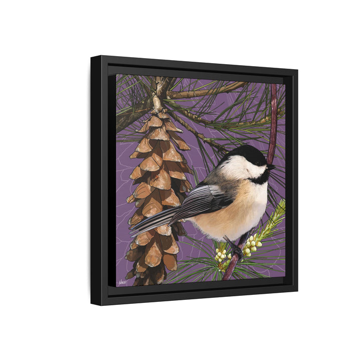 Black-capped Chickadee: Maine State Bird — Framed Canvas Print