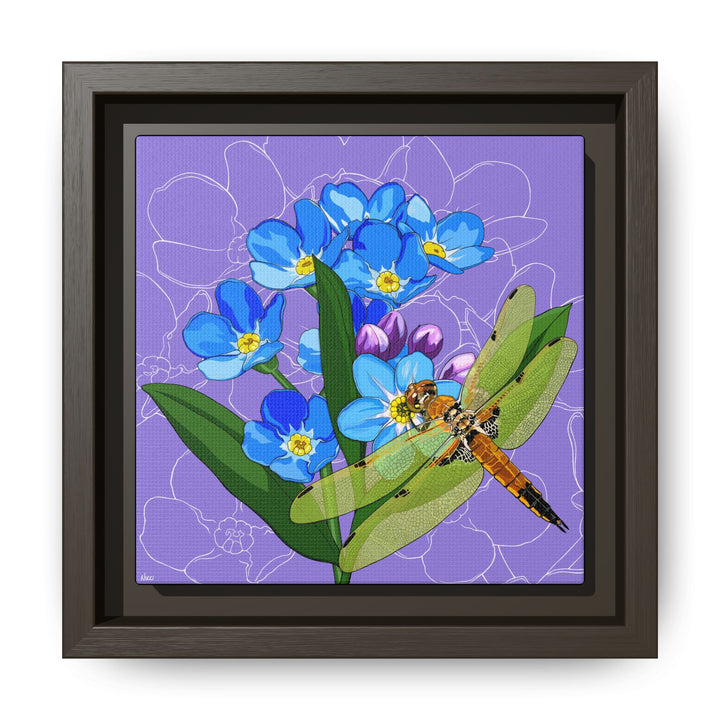 Alaska State Flower + Insect: Forget Me Not + Four-spot Skimmer Dragonfly — Framed Canvas Print Wall Art