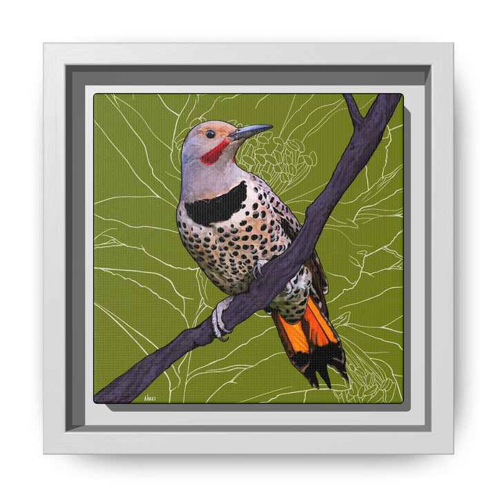 Northern Flicker (Yellowhammer): Alabama State Bird: — Framed Canvas Print Wall Art