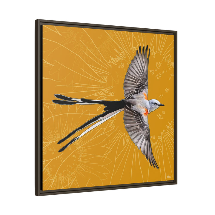 Scissor Tailed Flycatcher: Oklahoma State Bird — Framed Canvas Print Wall Art