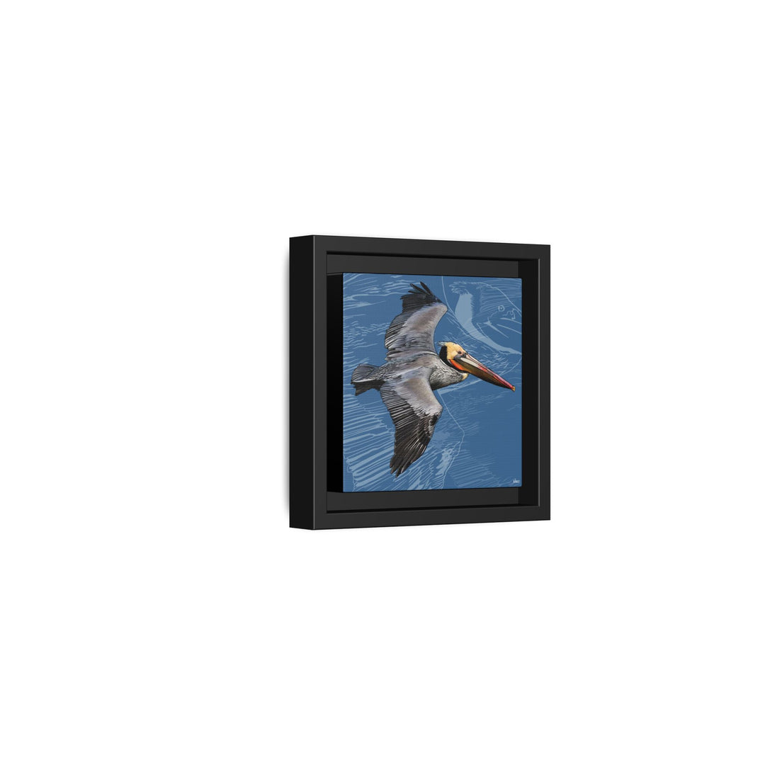 Brown Pelican: Louisiana State Bird  —  Framed Canvas Print