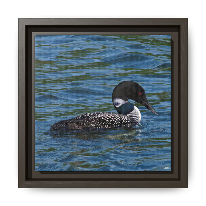 Common Loon: Minnesota State Bird — Framed Canvas Print Wall Art